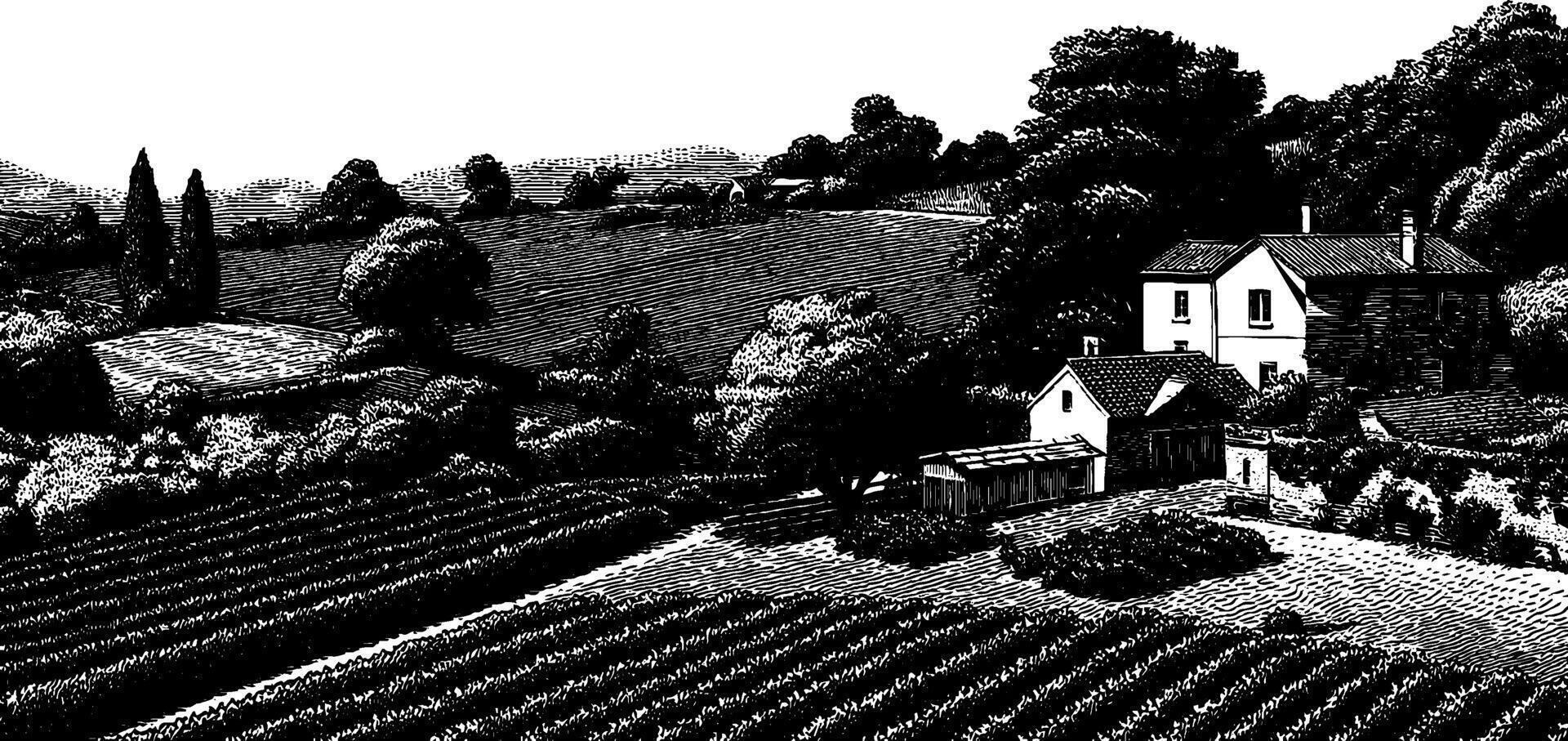 Rustic farm landscape engraving with rolling fields and rustic houses. vector