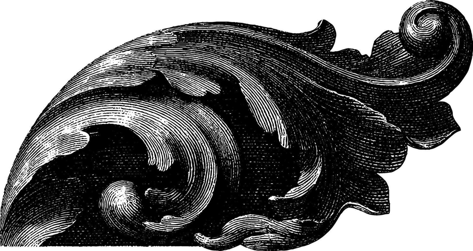 Ornate vintage swirl design element in black and white engraving style. vector