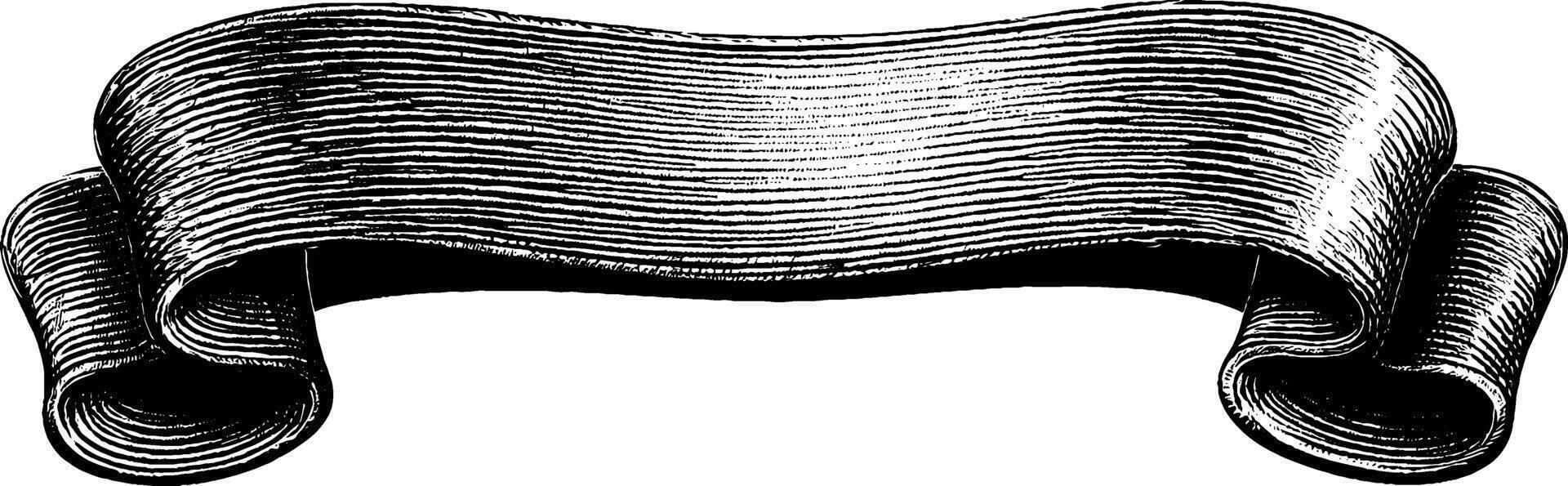 Engraved scroll banner with curl design for print and decorative use. vector