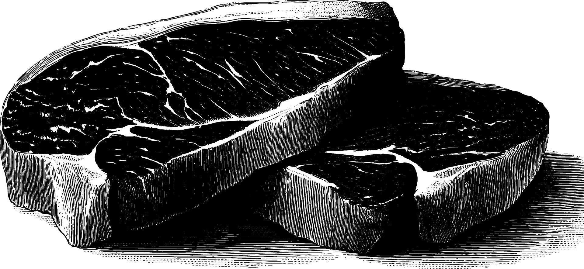 Engraved illustration of sliced meat with black bold lines for culinary design. vector