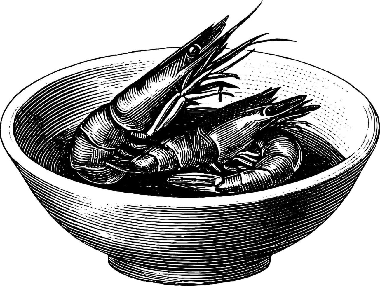Vintage illustration. two shrimps in a bowl with etched detailing. vector