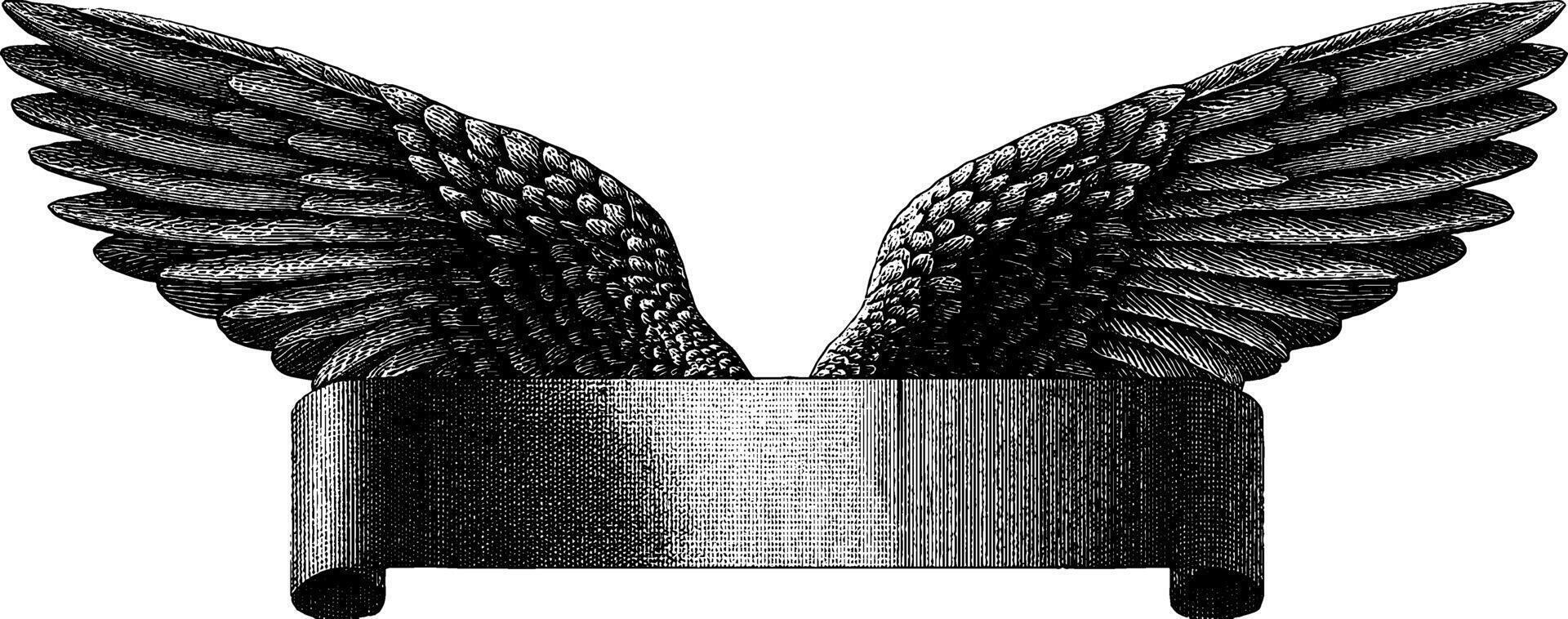 Engraved illustration of stylized bird wings with vintage scroll design for artistic projects. vector