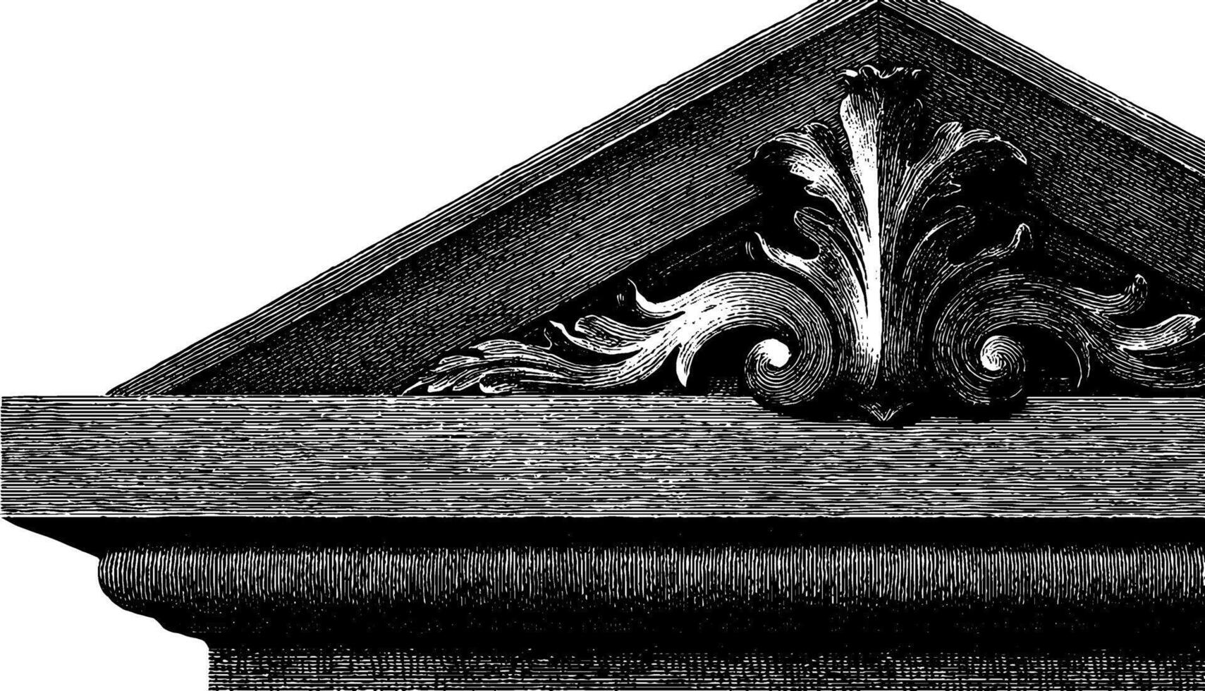 Ornate architectural frieze with detailed acanthus leaf design. vector