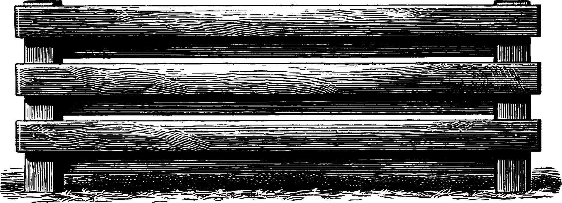 Retro 1950s black and white woodcut style illustration of tropical plants. vector
