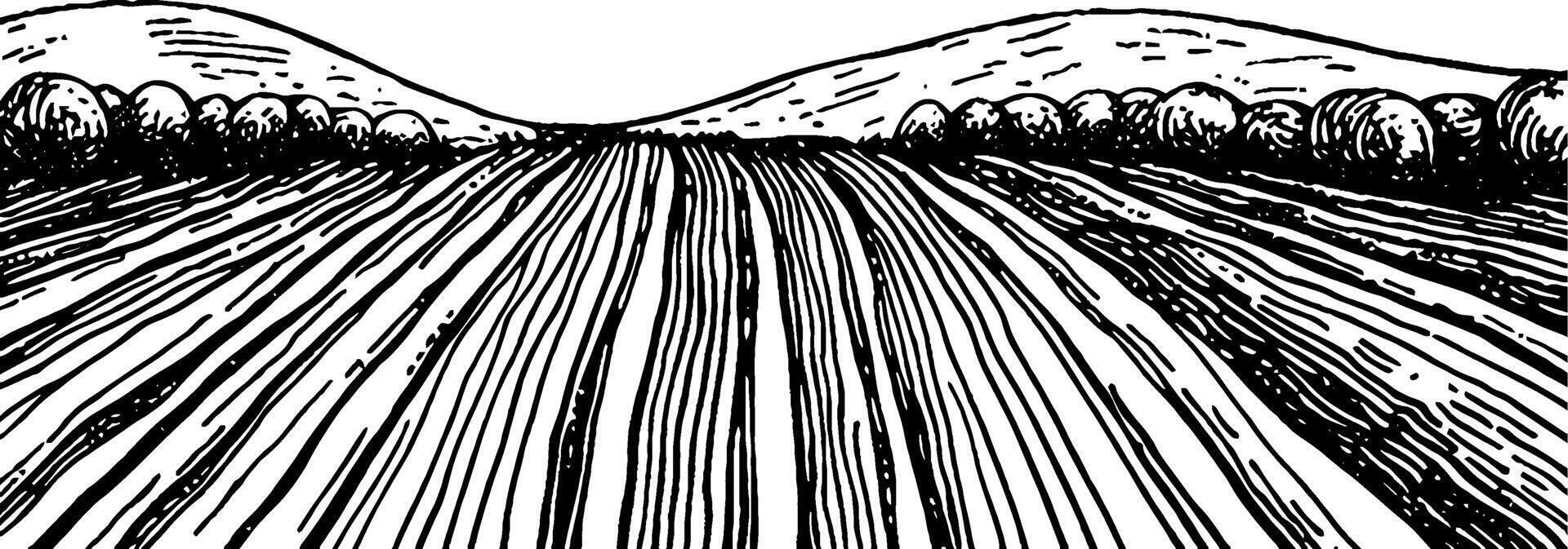 A black and white illustration of a rural landscape featuring plowed fields leading towards rolling hills in the background, with trees lining the sides. vector