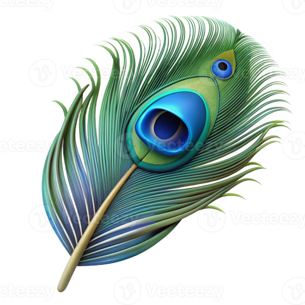 coveted creative Ultra-detailed, photorealistic render of a single feather, peacock feather, isolated cutout with Transparent Background gallery standard png