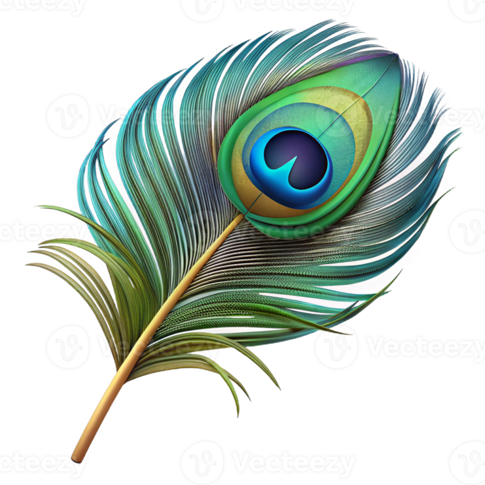 rare creative Ultra-detailed, photorealistic render of a single feather, peacock feather, isolated cutout with Transparent Background crisp png