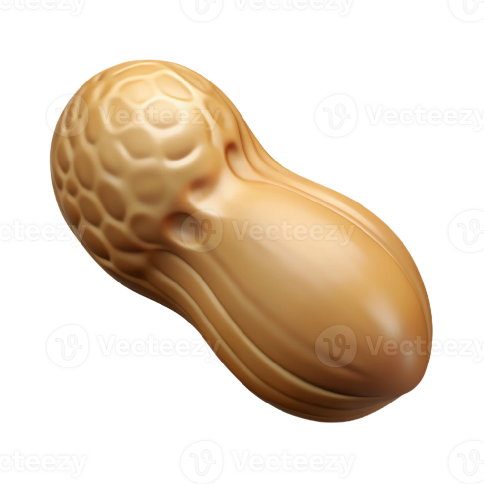 exquisite tranquil artistic Professional render hyper-specific image of a single peanut, shelled, with Transparent Background gallery standard png