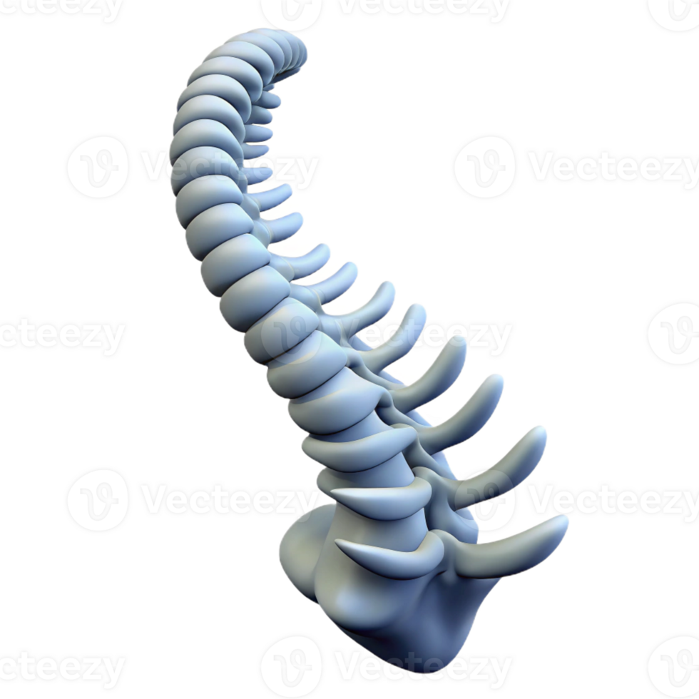 splendid intense futuristic Isolated cutout, ultra-detailed professional render of a single spine from a Chimera with Transparent Background detailed png