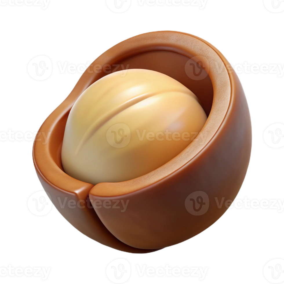 extraordinary melancholic artistic Macadamia nut, in shell with Transparent Background handcrafted png