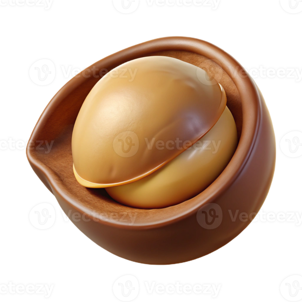 impressive whimsical elegant Macadamia nut, in shell with Transparent Background impeccable png