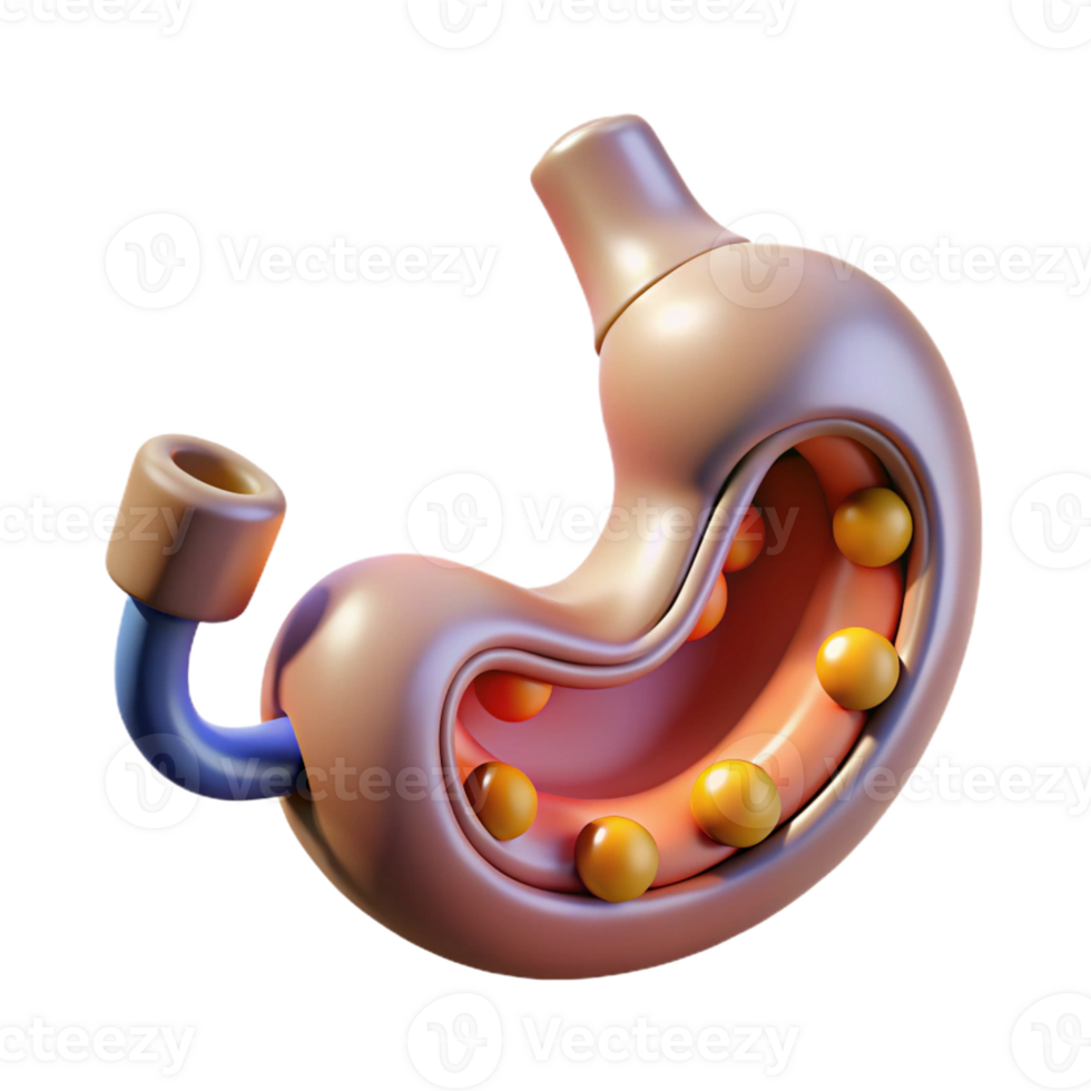 unparalleled mid-century Professional render, concept art style, biomechanical stomach with integrated nutrient absorption system, isolated cutout with Transparent Background precision png