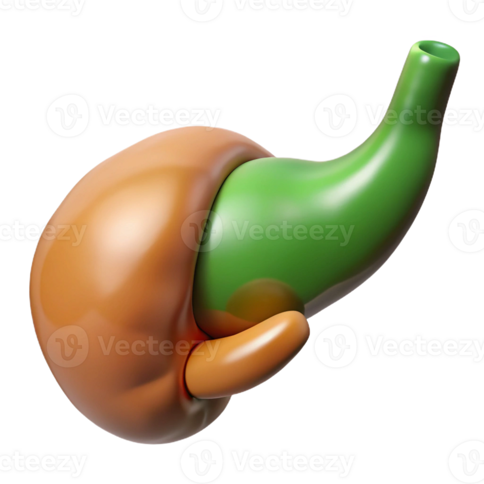 spectacular bold classic Hyper-specific, photorealistic render of a biomechanical gallbladder with optimized bile release, isolated cutout with Transparent Background sharp png