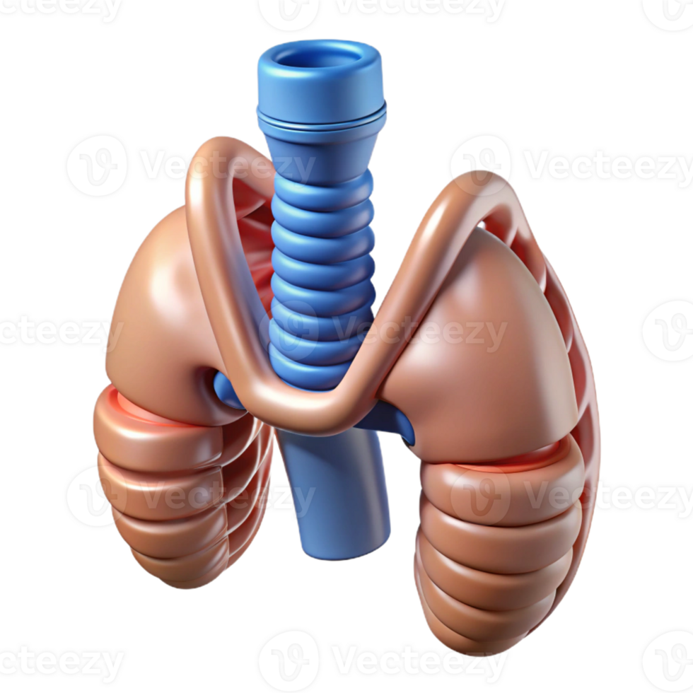 beautiful reflective surreal Hyper-specific, photorealistic render of a biomechanical artificial trachea, isolated cutout with Transparent Background premium png
