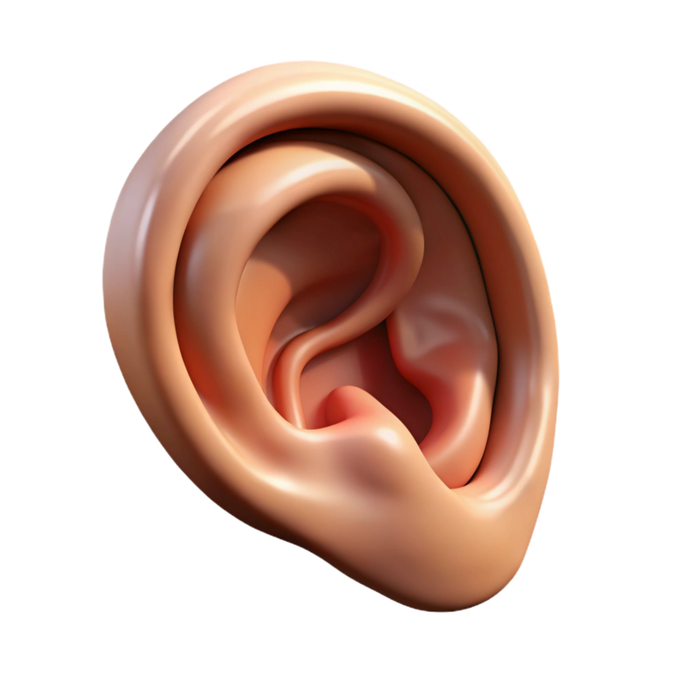 calm splendid Hyper-specific photorealistic professional render of a human ear, isolated cutout with Transparent Background ultra HD png