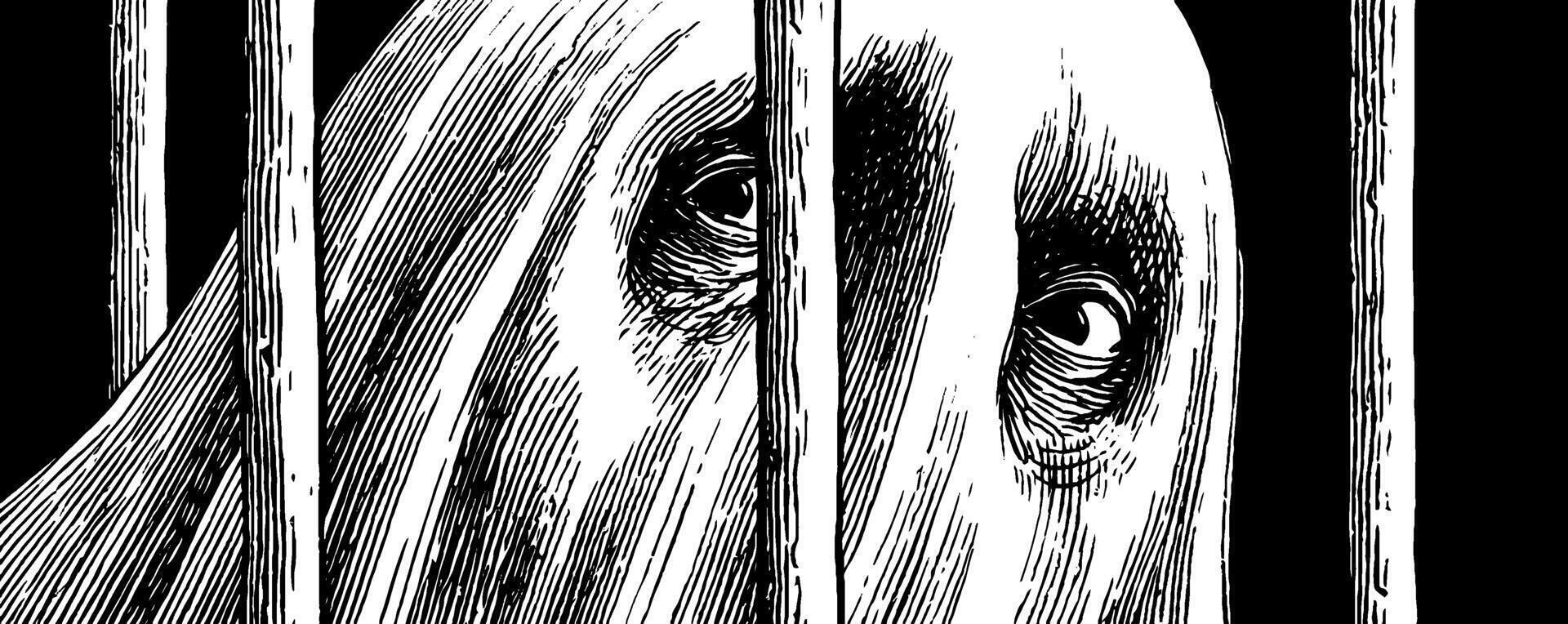 Mysterious ghostly figure behind bars - engraved illustration for spooky themes. vector