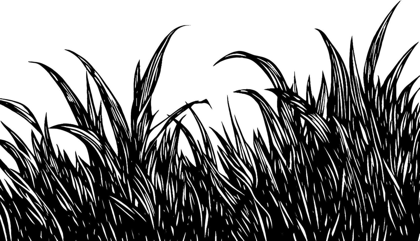 A detailed illustration of tall grass with sharp, pointed blades, creating a textured appearance against a white background. vector