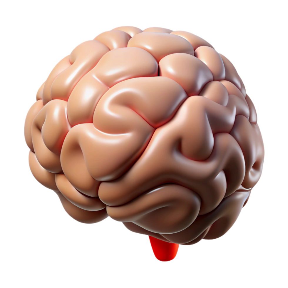 picturesque romantic surreal Hyper-specific photorealistic professional render of a human brain, isolated cutout with Transparent Background gallery standard png
