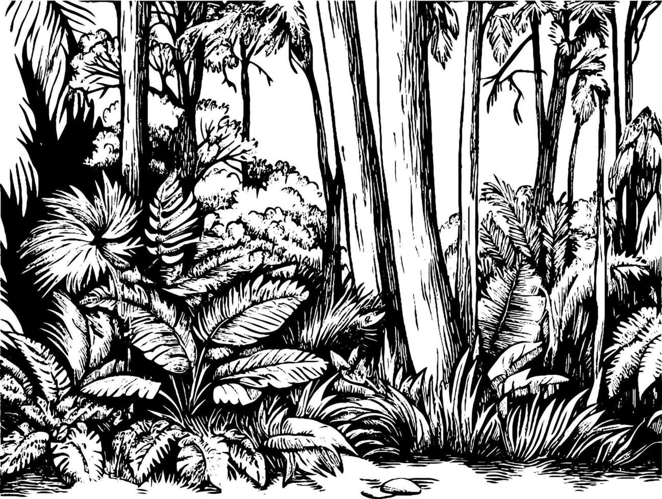 A detailed black and white illustration of a dense jungle scene, featuring various tropical plants, tall trees, and underbrush, creating a lush and vibrant atmosphere. vector