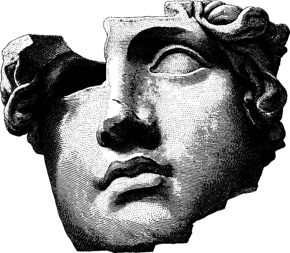Ancient marble head sculpture fragment with detailed texture and classical features. vector