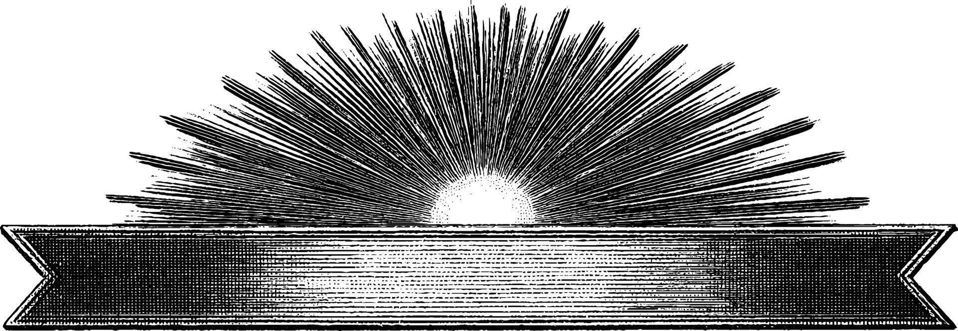 Vintage engraved sunburst with banner for design and decoration. vector