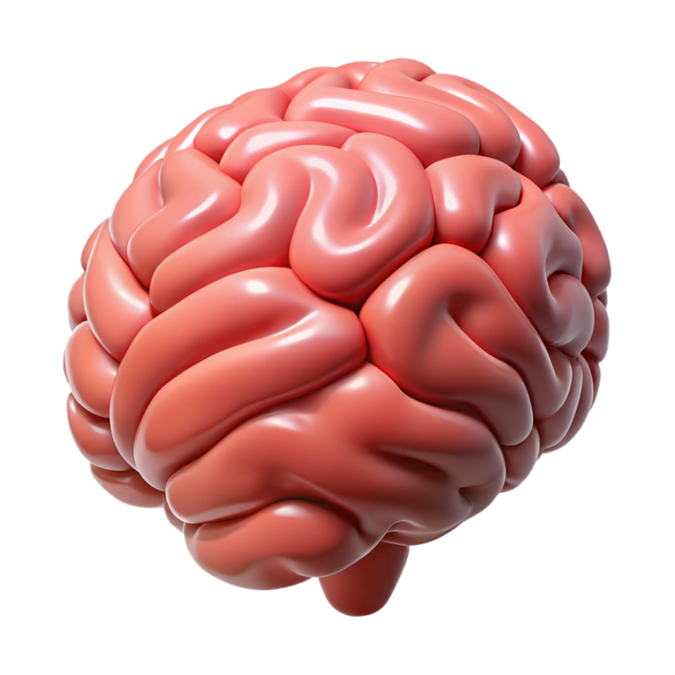 glorious memorable Hyper-specific photorealistic professional render of a human brain, isolated cutout with Transparent Background png
