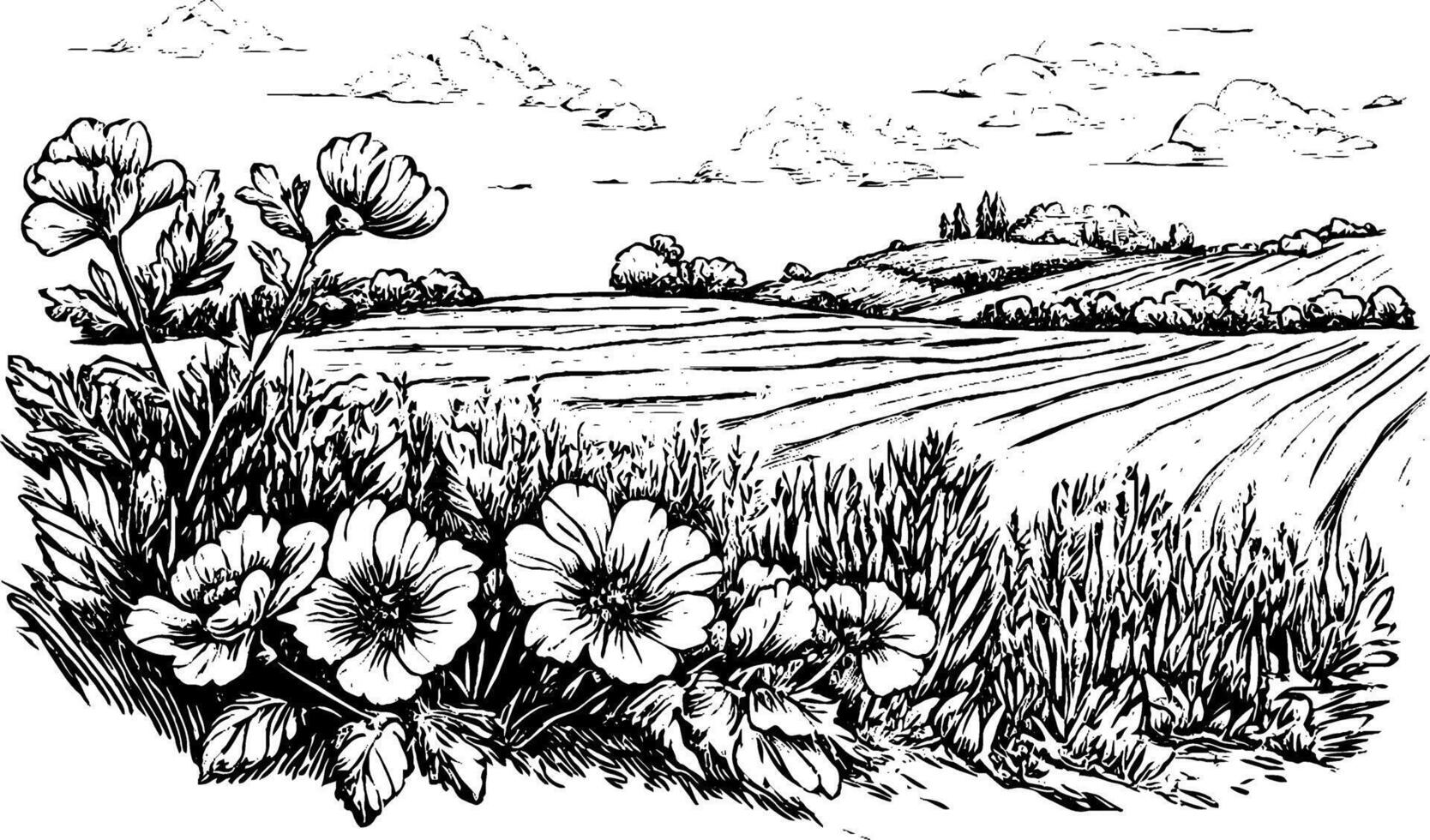 A detailed black and white illustration of a landscape featuring blooming flowers in the foreground and rolling hills in the background. The scene captures a serene rural setting with clouds in the sky. vector