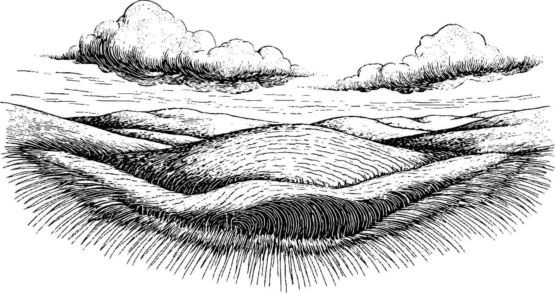 A detailed black and white illustration of rolling hills under a cloudy sky, showcasing textured grass and undulating terrain. vector