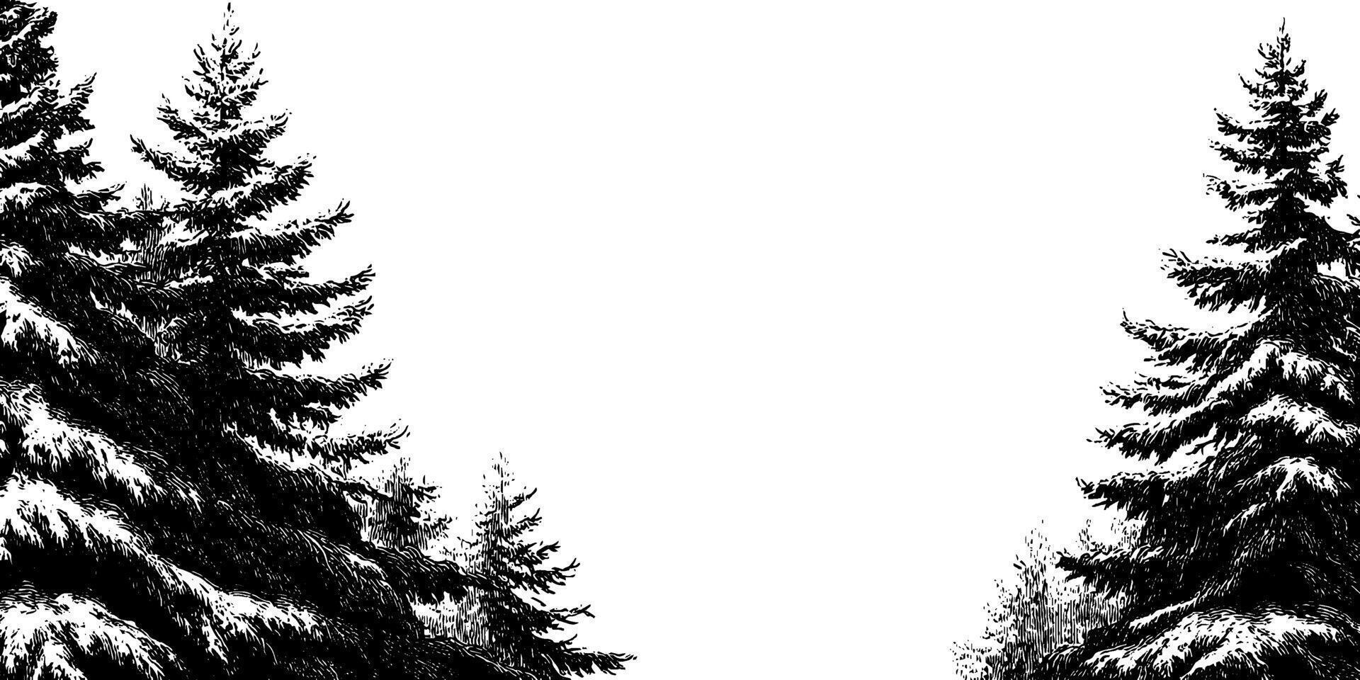 Winter forest tranquility engraving with snowy pine trees for seasonal design. vector