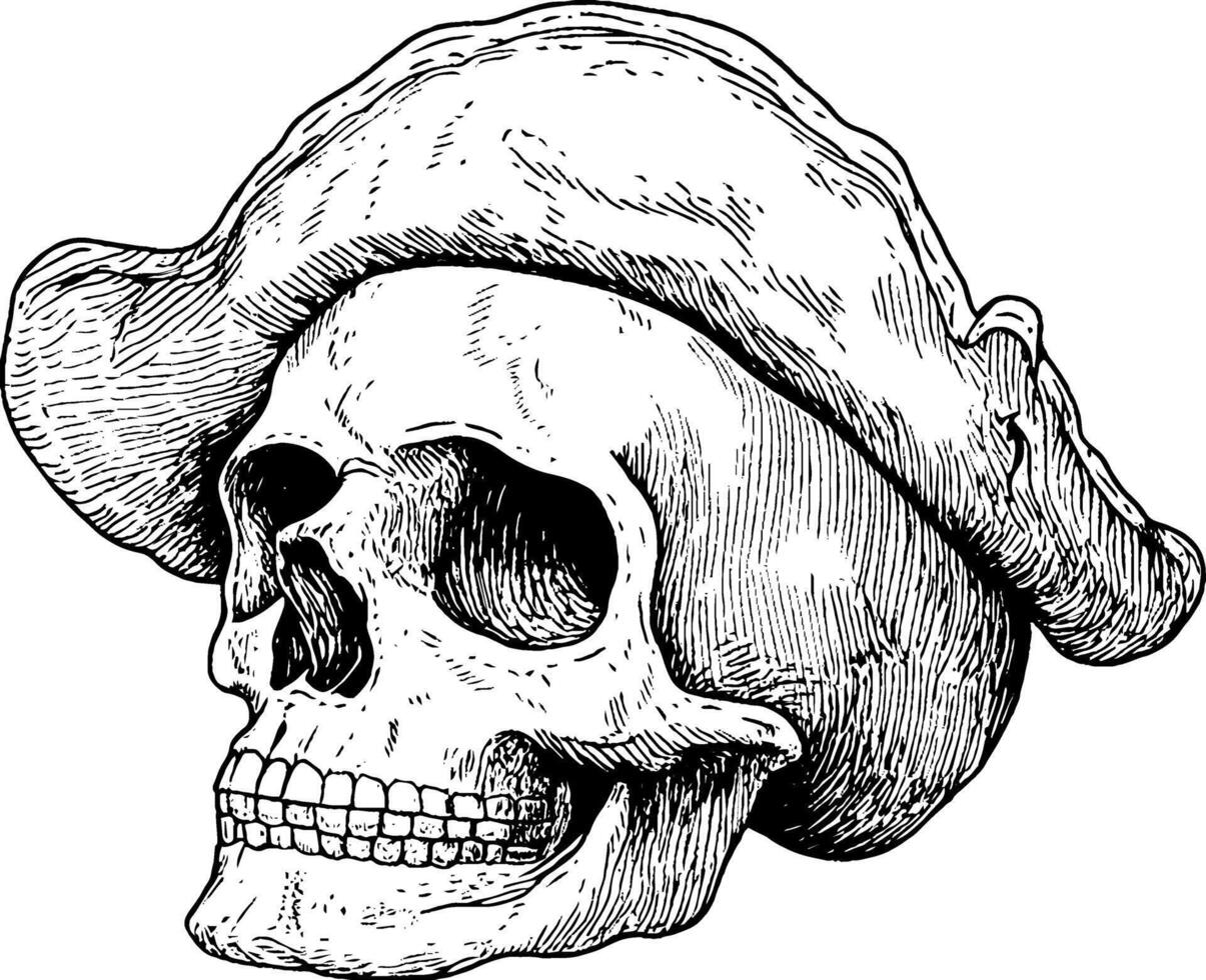 A detailed illustration of a skull wearing a pirate hat, showcasing intricate line work and shading. The skull is positioned in profile, emphasizing its features and the texture of the hat. vector
