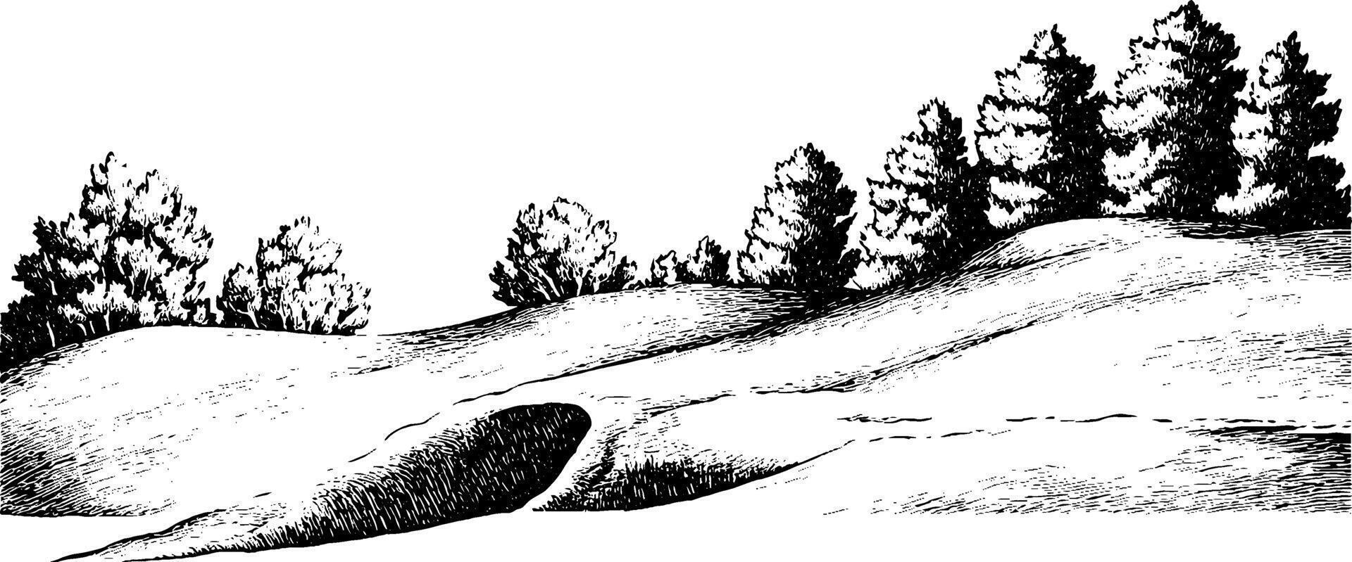 A black and white illustration of rolling hills with a small cave or hollow, surrounded by trees. The landscape features a smooth terrain and a variety of tree shapes in the background. vector