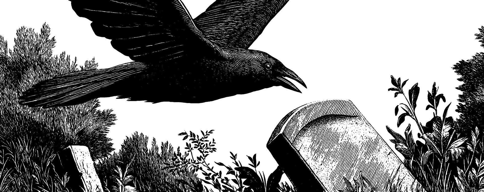 Engraved illustration of a crow flying over a grave in a mysterious cemetery setting. vector