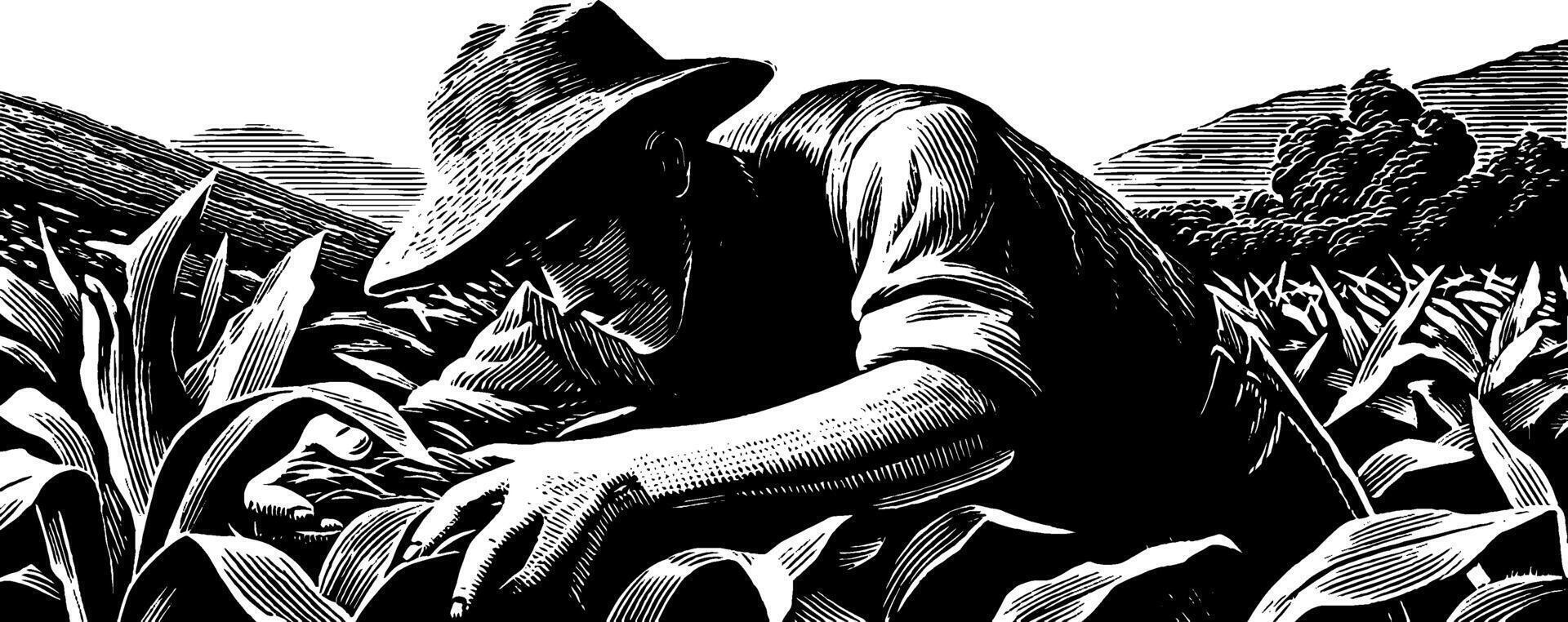 Rural harvest. 1950s woodcut style black and white illustration of farmer picking vegetables for agricultural art. vector