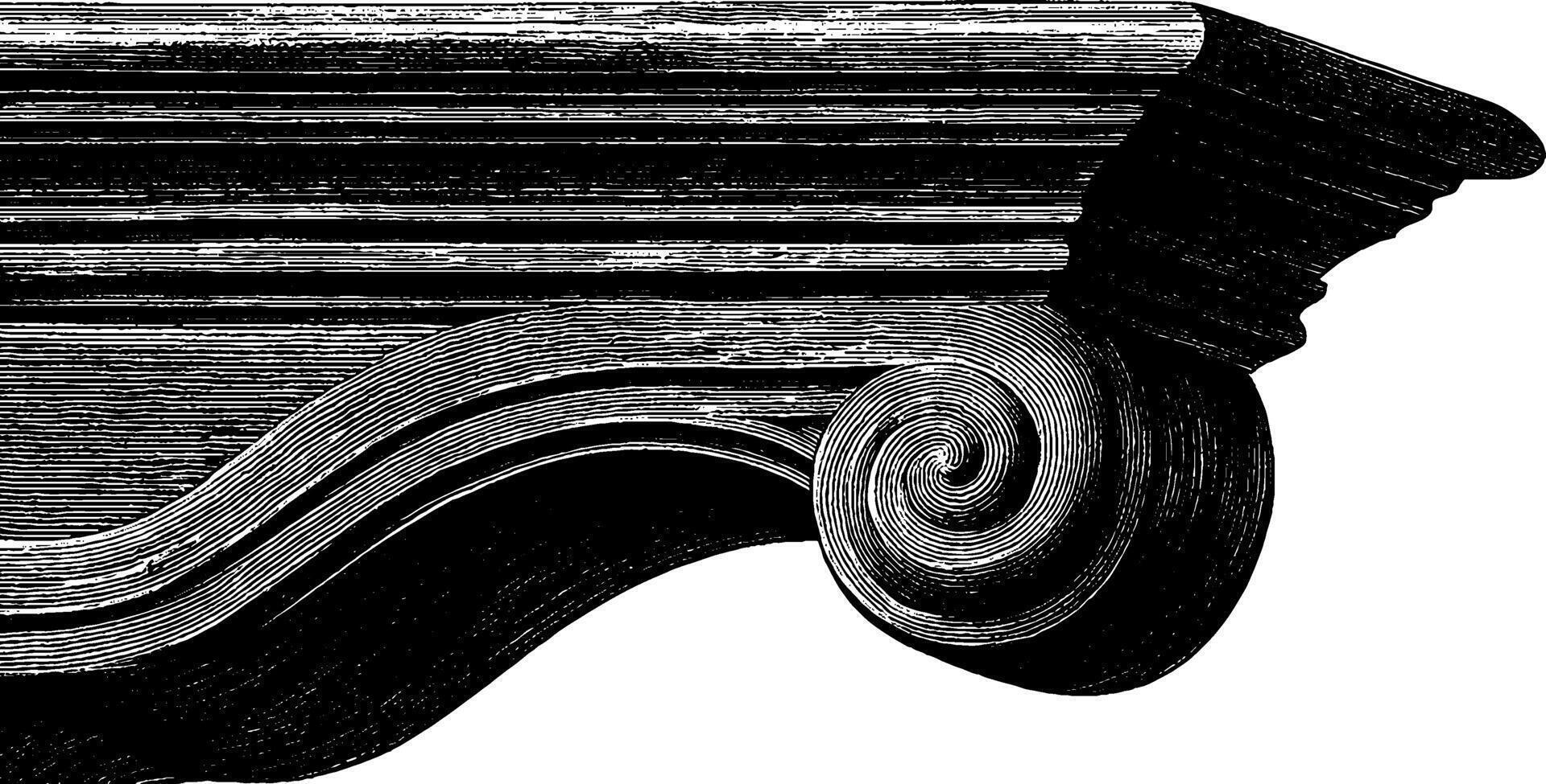 Intricate detail of vintage architectural cornice design in black and white. vector