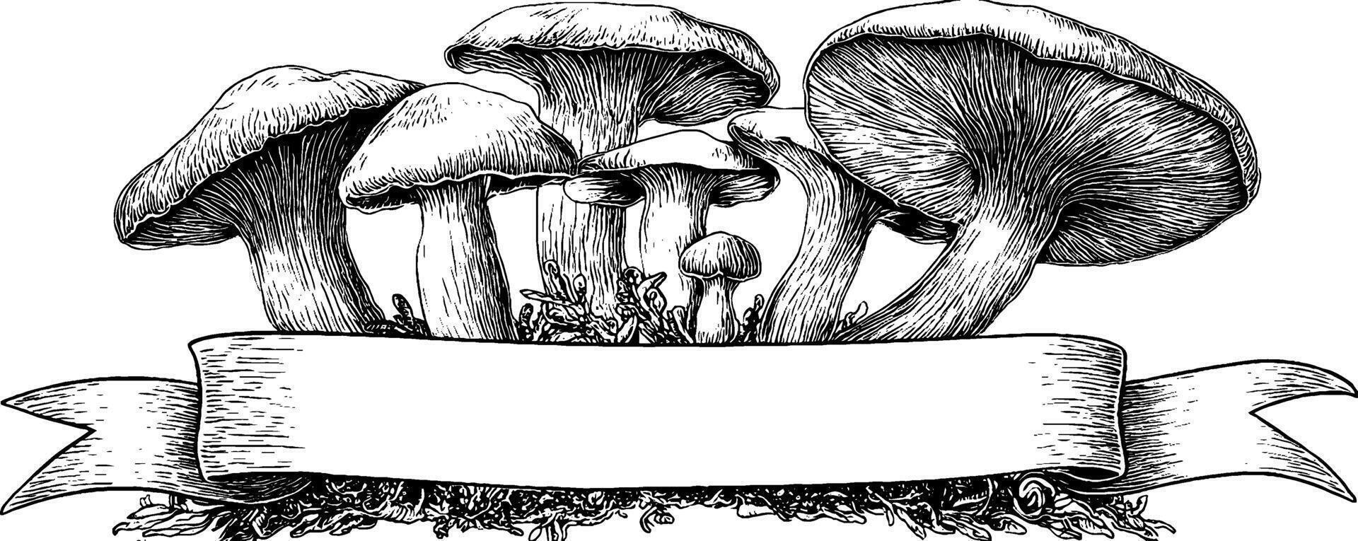 Engraved mushroom illustration with blank banner for creative design and decoration. vector