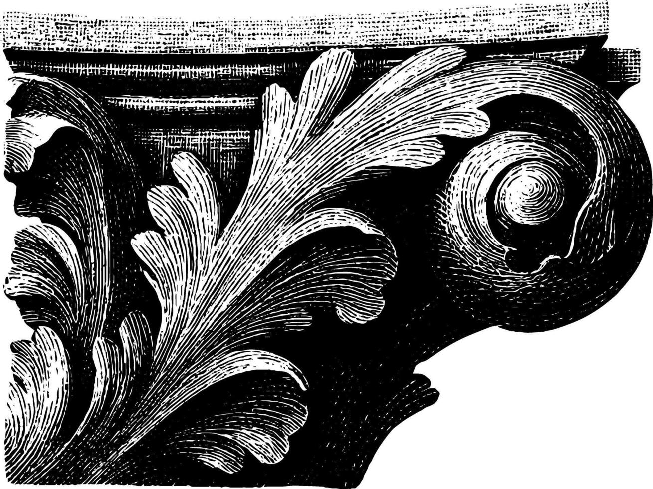 Intricate vintage architectural ornament with leaf and scroll design. vector
