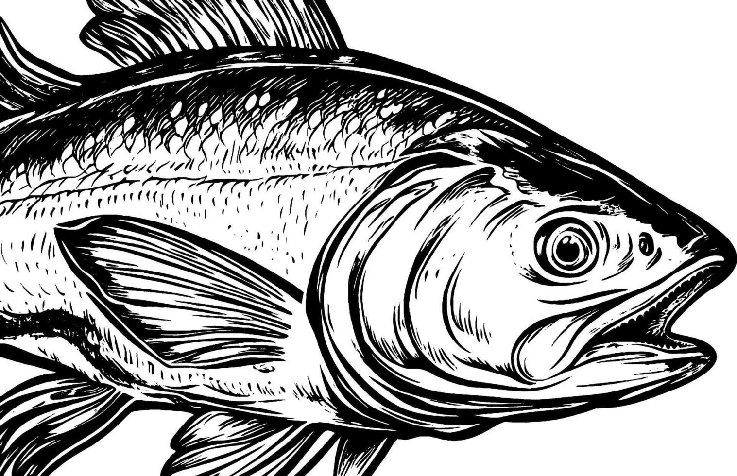 A detailed illustration of a fish, showcasing its scales, fins, and facial features in a black and white style. vector