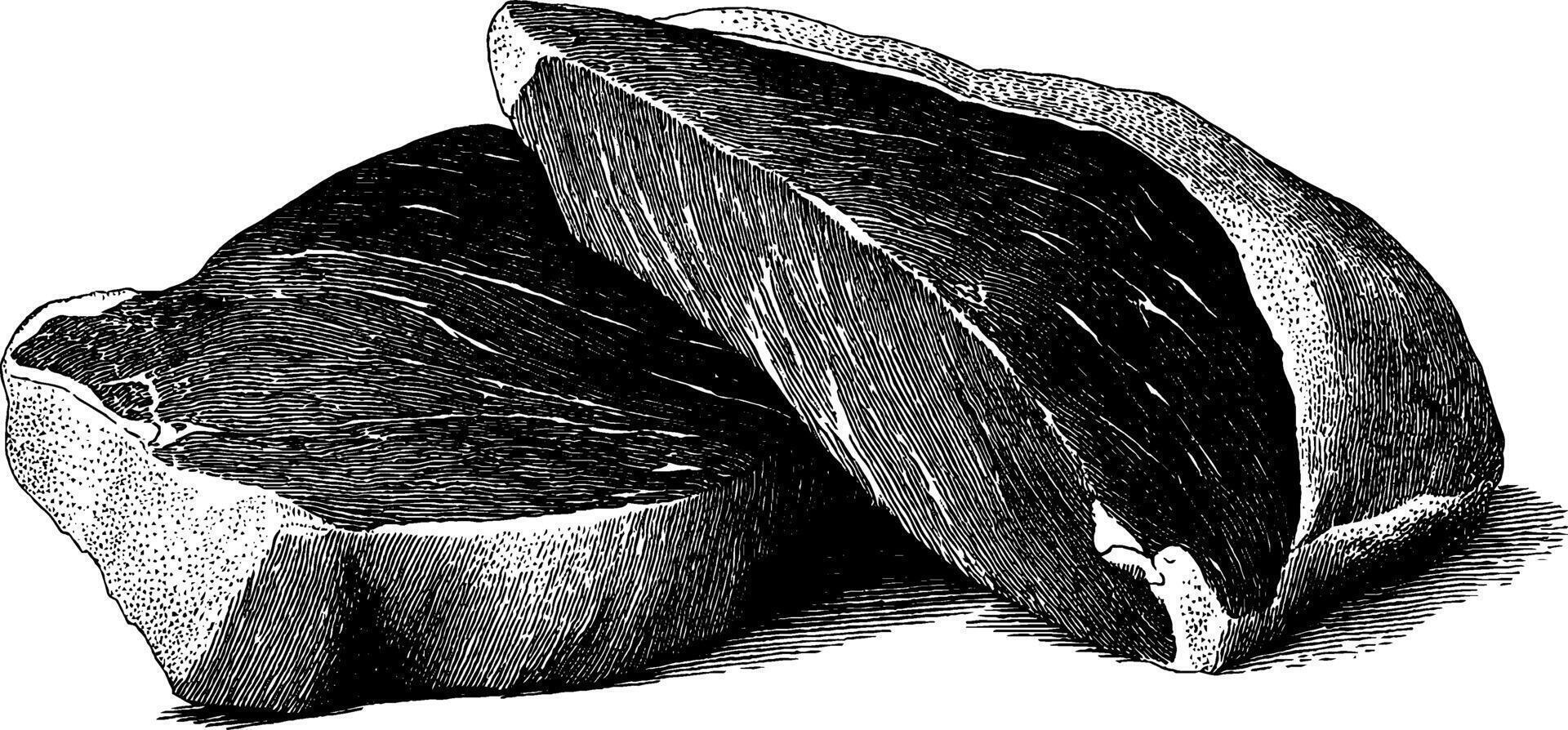 Engraved illustration of meat cuts with bold black lines for culinary design. vector