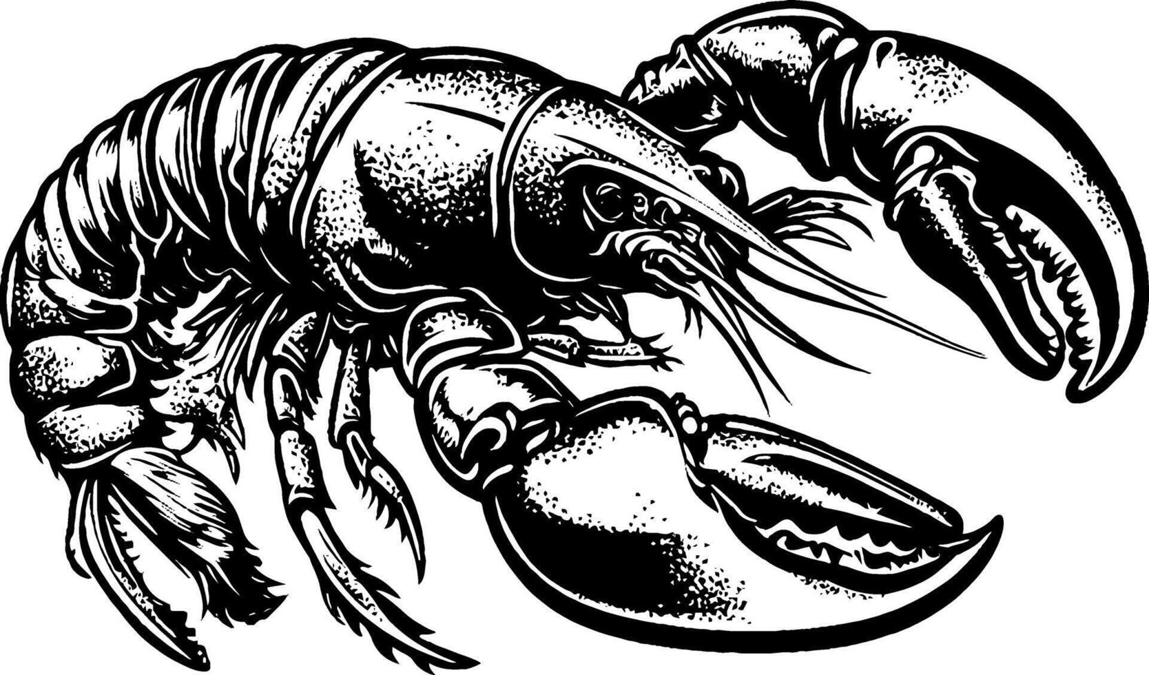 A detailed illustration of a lobster, showcasing its claws and antennae in a stylized black and white design. vector