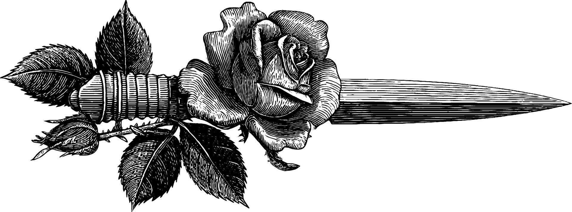 Engraved dagger with rose vine illustration for tattoo or design. vector