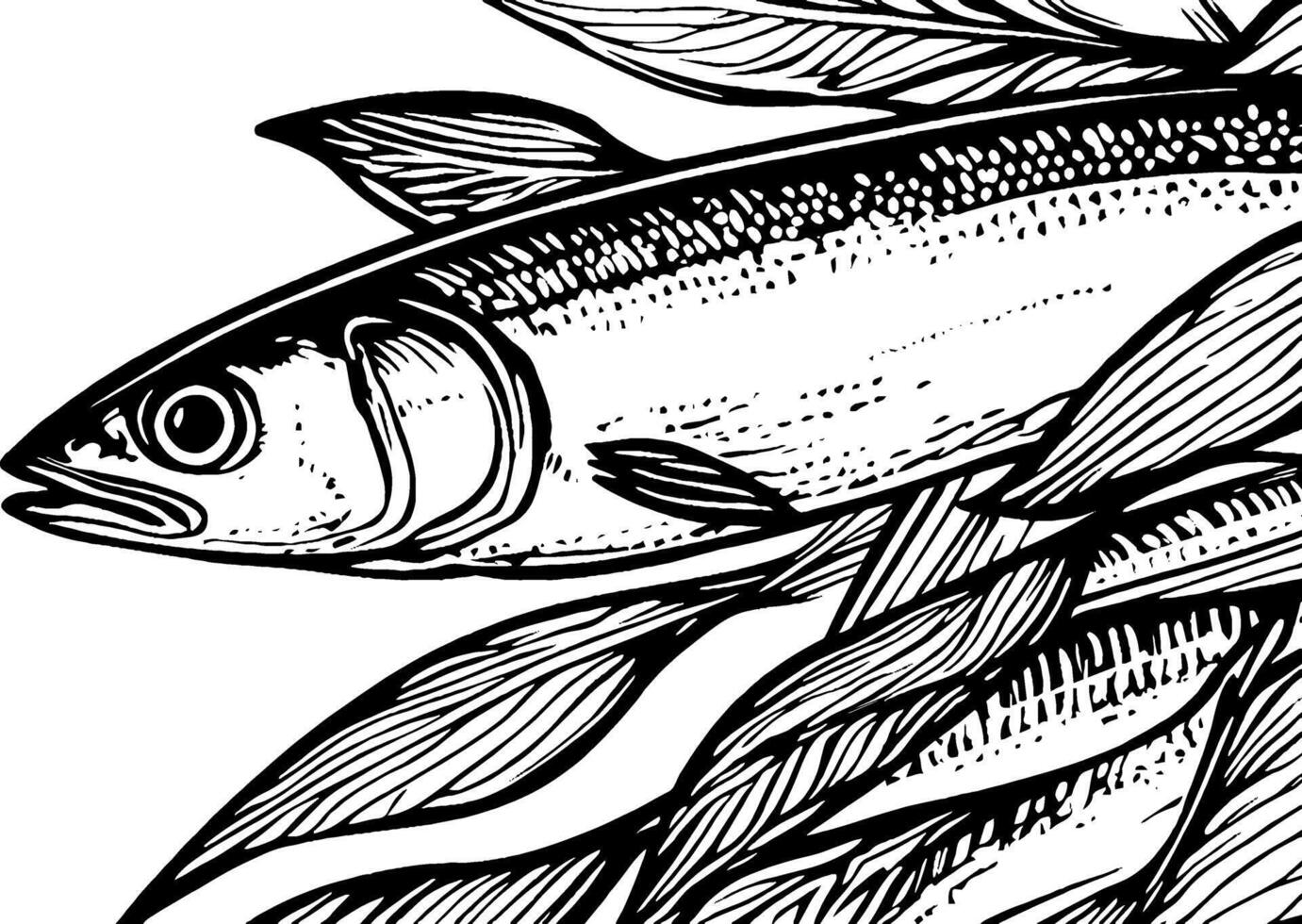A detailed black and white illustration of a fish surrounded by flowing leaves, showcasing intricate line work and textures. vector