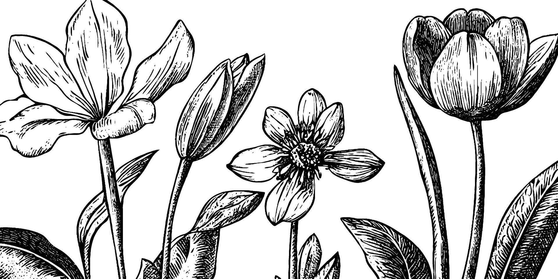 A detailed black and white illustration of various flowers including tulips and other blossoms, showcasing intricate line work and natural forms. vector
