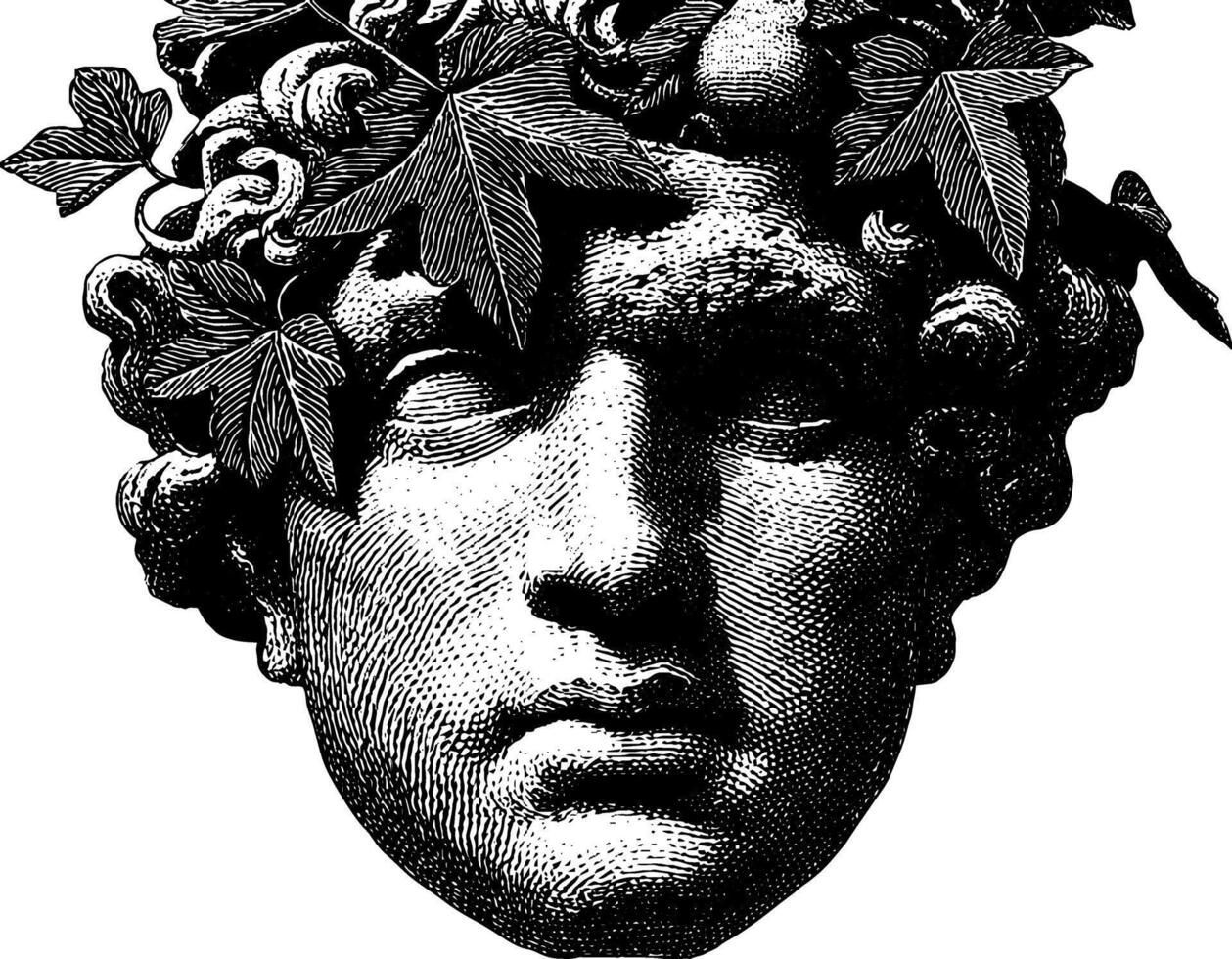 Classical statue head of bacchus with vine leaves in detailed engraving. vector