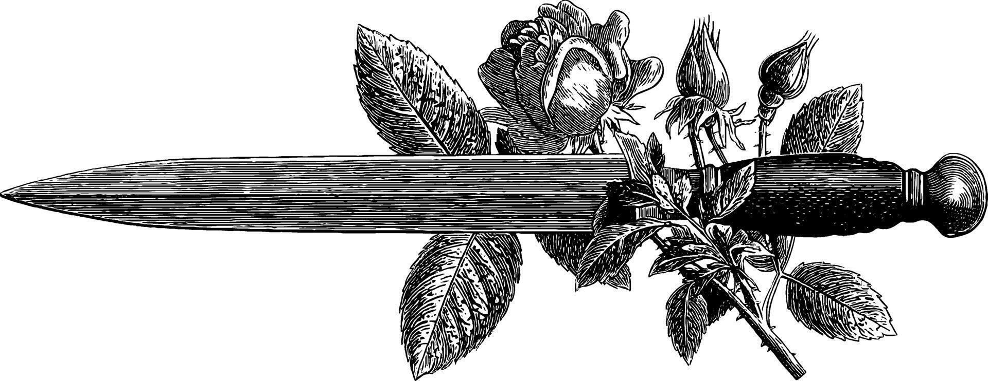 Engraved dagger with rose vine. vintage botanical decorative design. vector