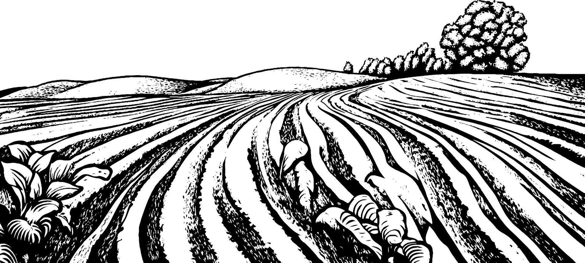 A black and white illustration of a rural landscape featuring rolling hills, furrowed fields, and a cluster of trees in the background. The foreground includes stylized plants, emphasizing agricultural themes. vector