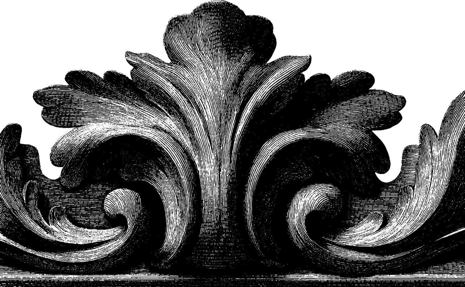 Ornate vintage acanthus leaf engraving design in black and white. vector