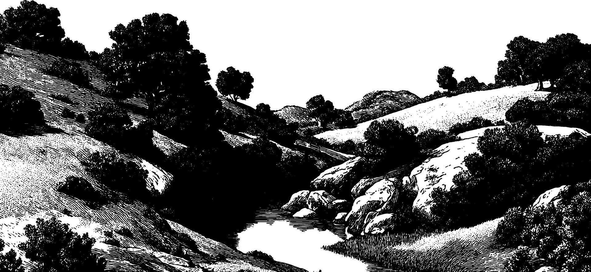 Engraved landscape illustration with trees and river in black bold lines for art and design. vector