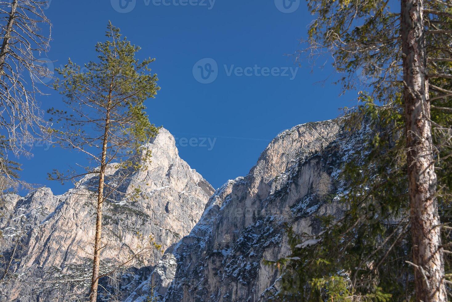 Winter scene at Braies Lake, Italy, with a rugged snow dusted mountain, tall evergreen trees, and a clear blue sky under bright sunlight. photo