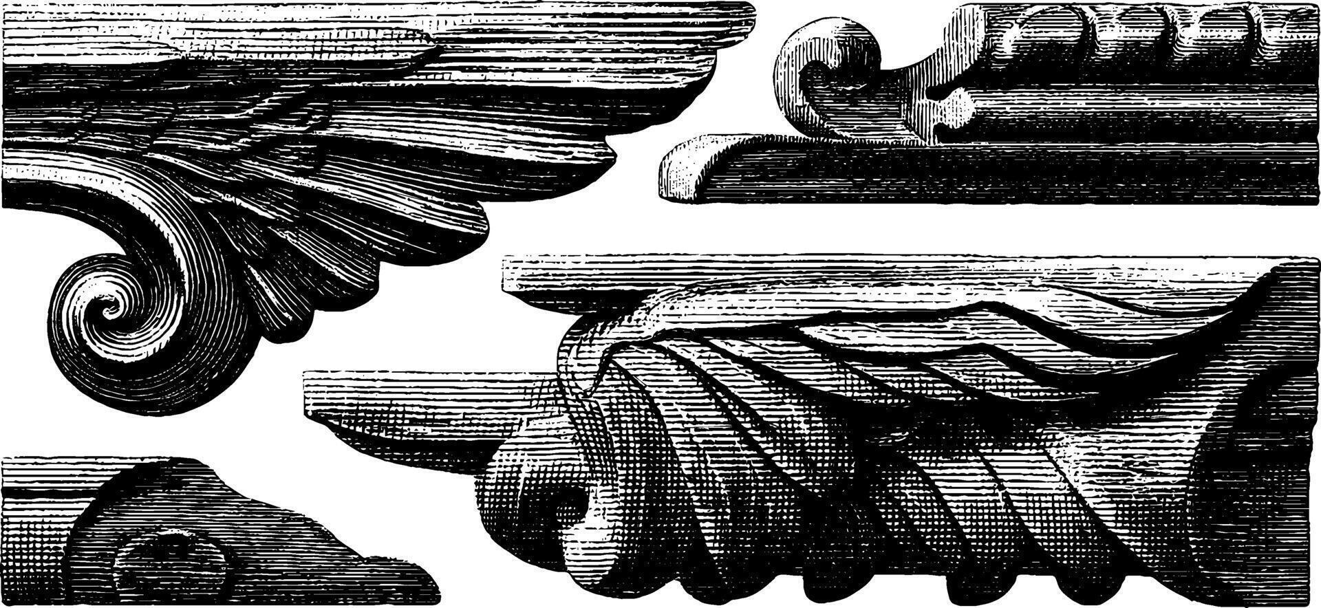 Intricate vintage architectural wood carvings and decorative details. vector