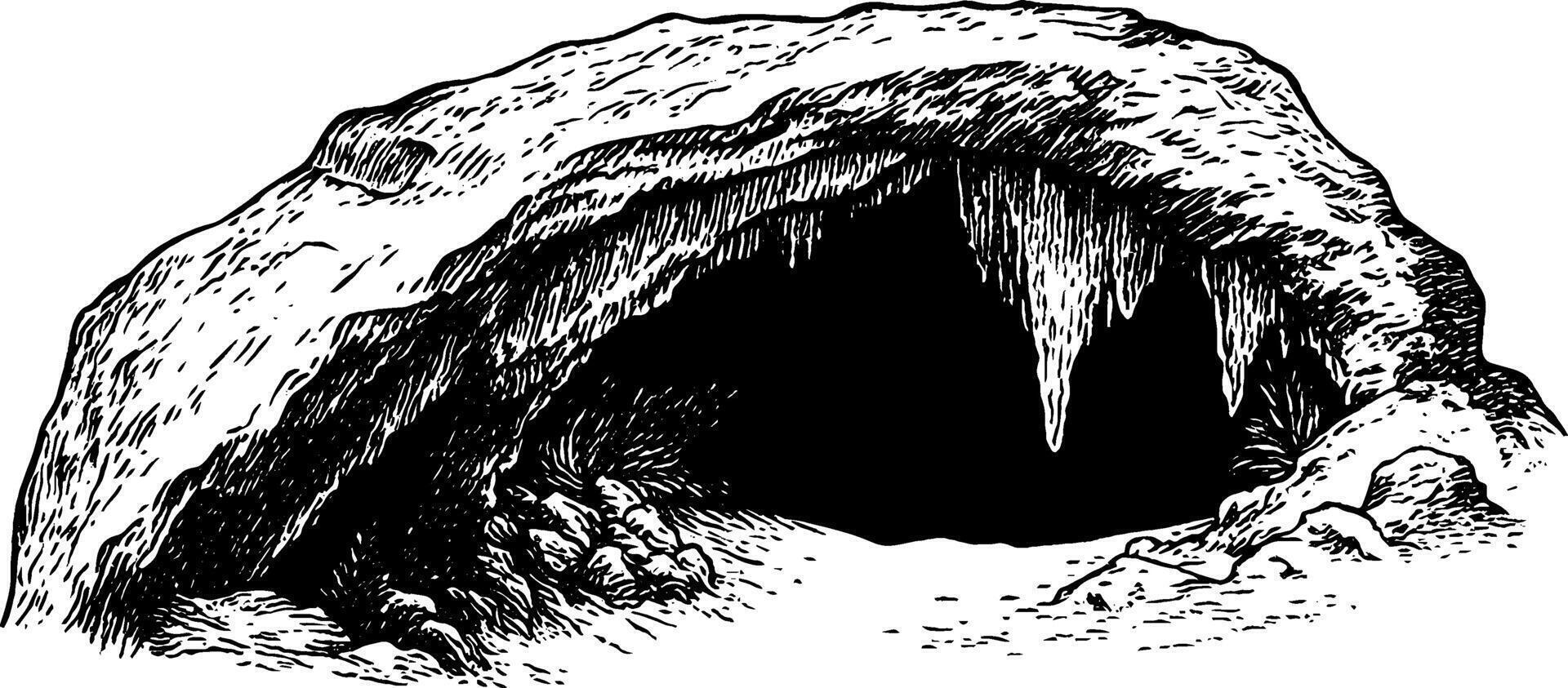 An illustration of a cave entrance, featuring jagged rocks and icicles hanging from the ceiling. The cave appears dark and mysterious, with a sandy floor and some vegetation visible at the entrance. vector